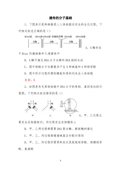 2022年高考生物冲刺专题练习卷：遗传的分子基础