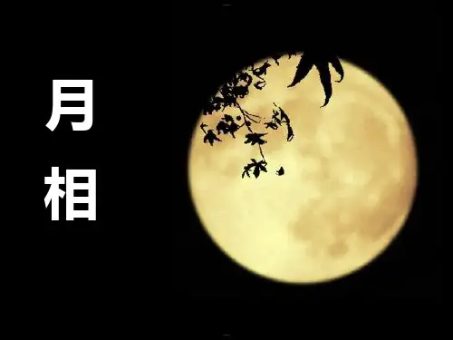 《月相》PPT课件-完美版
