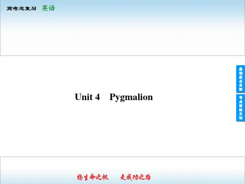 高考英语总复习-人教版新课标选修8U4【ppt】