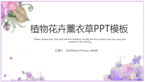 紫色薰衣草简约简单小清新PPT模板
