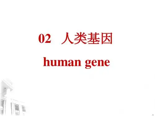 医学遗传学02人类基因
