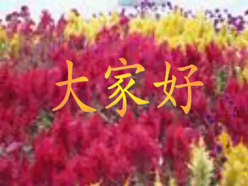 社区高血压患者随访