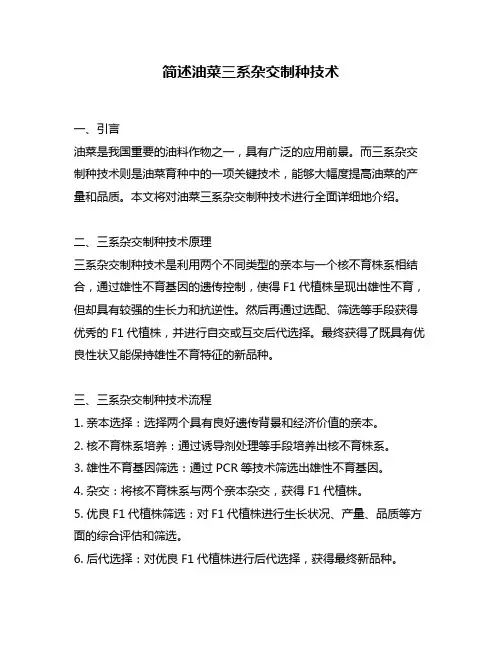 简述油菜三系杂交制种技术