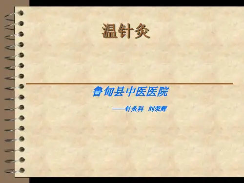 温针灸-刘荣辉