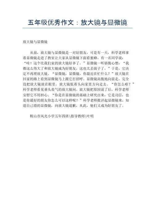 五年级优秀作文：放大镜与显微镜