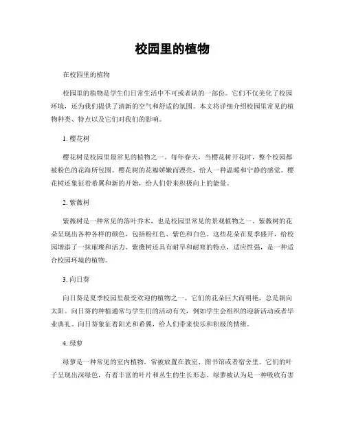 校园里的植物