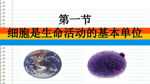 生物人教版(2019)必修1 1