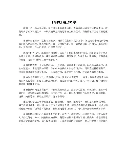 【写物】藕_650字