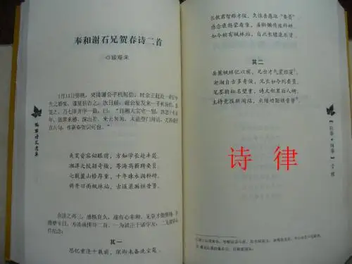 古代汉语教学PPT05诗律