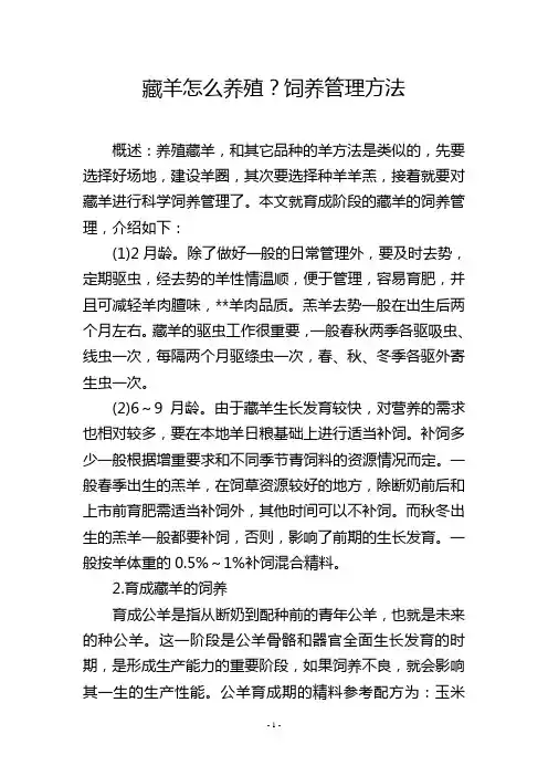 藏羊怎么养殖？饲养管理方法