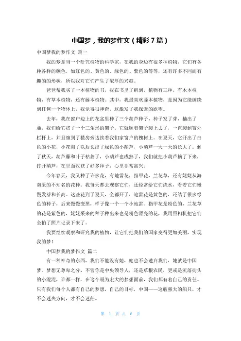 中国梦,我的梦作文(精彩7篇)