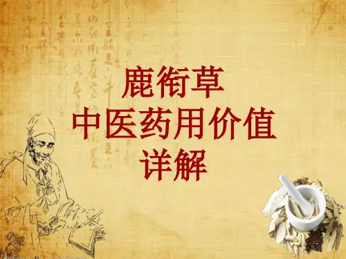 中药学_鹿衔草_药材详解课件模板