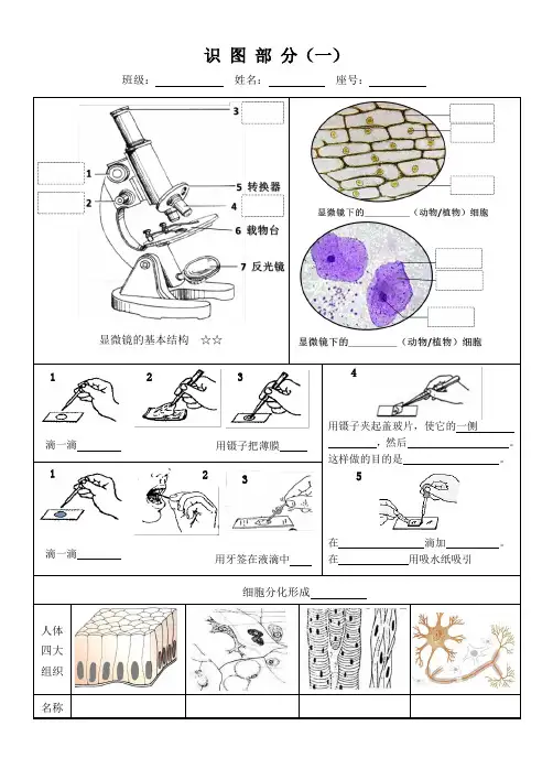 2019年中考生物复习专题识图汇总