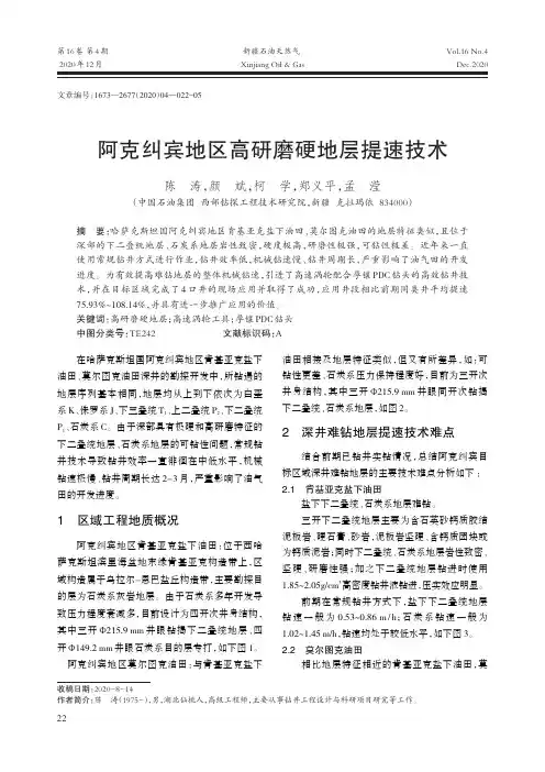阿克纠宾地区高研磨硬地层提速技术