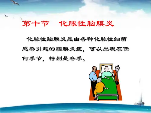 化脓性脑膜炎  ppt课件