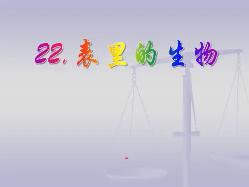 语文S版语文六上《表里的生物》ppt-课件1