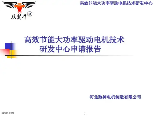新能源汽车驱动电机项目介绍 PPT课件