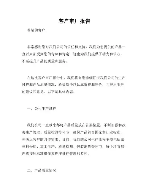 客户审厂报告