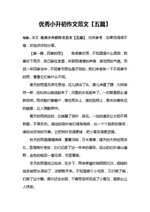 优秀小升初作文范文【五篇】