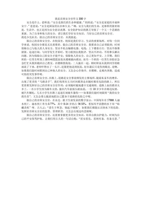 我是首席安全官作文800字