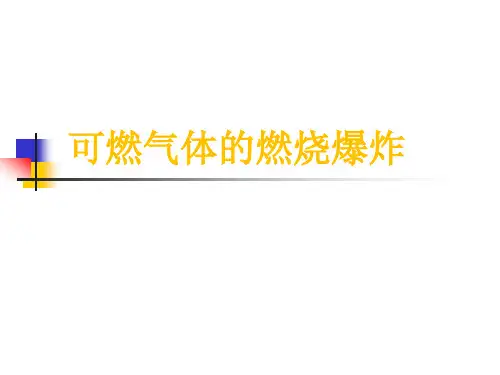 可燃气体的燃烧爆炸ppt课件