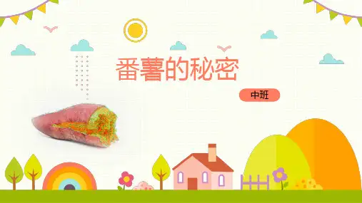《番薯的秘密》幼儿园中班讲课PPT课件