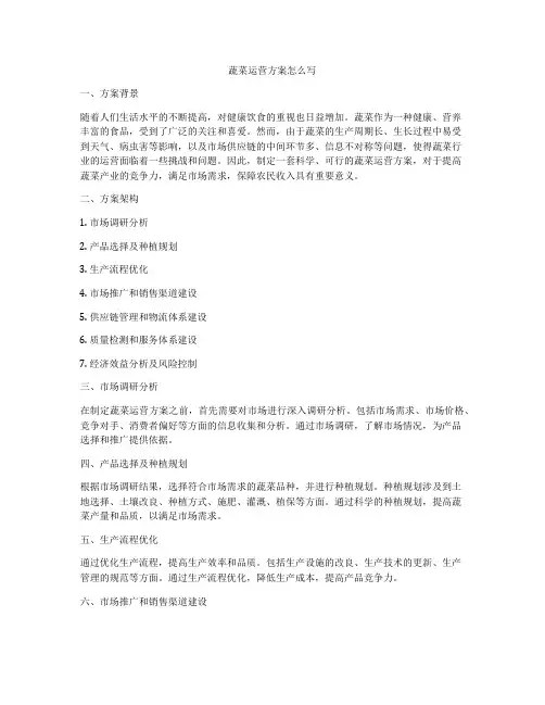 蔬菜运营方案怎么写