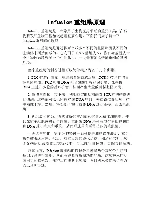 infusion重组酶原理