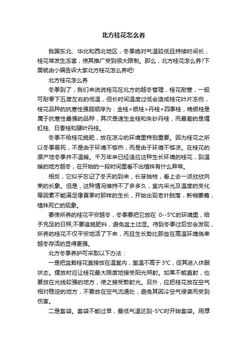 北方桂花怎么养