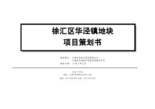徐汇区华泾镇地块项目策划书