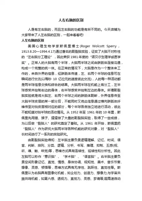 人左右脑的区别