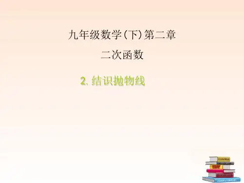 九年级数学下册 2.2结识抛物线3课件 北师大版