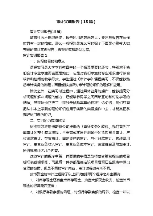 审计实训报告（15篇）