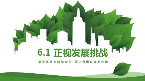《正视发展挑战》PPT优秀教学课件
