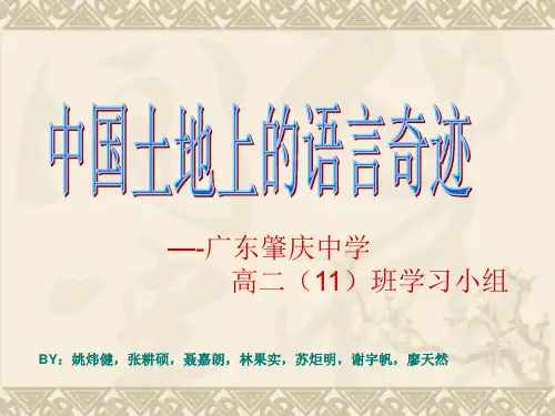 高中学生研究性学习成果展示(189)：中国土地上的语言奇迹