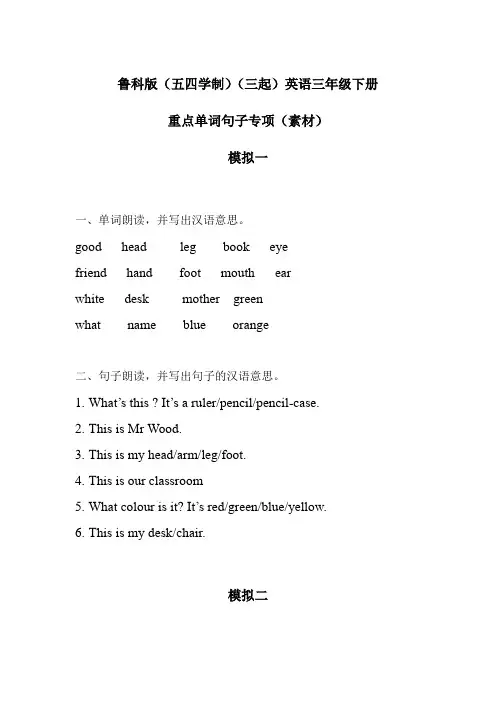 鲁科版(五四学制)(三起)英语三年级下册 重点单词句子专项(素材)