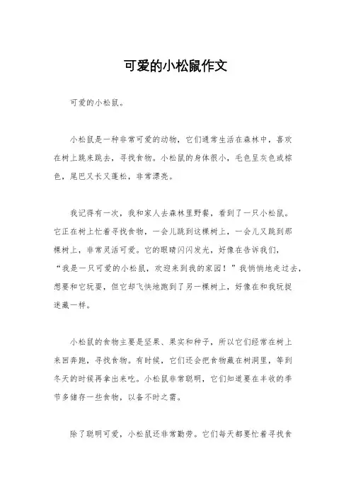 可爱的小松鼠作文