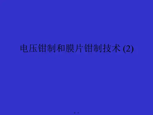 电压钳制和膜片钳制技术 (2)