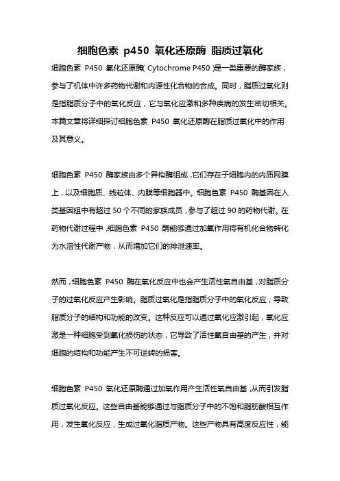 细胞色素 p450 氧化还原酶 脂质过氧化