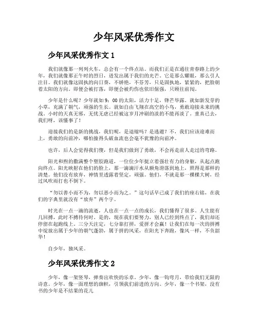 少年风采优秀作文