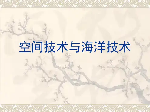 空间技术与海洋技术解读
