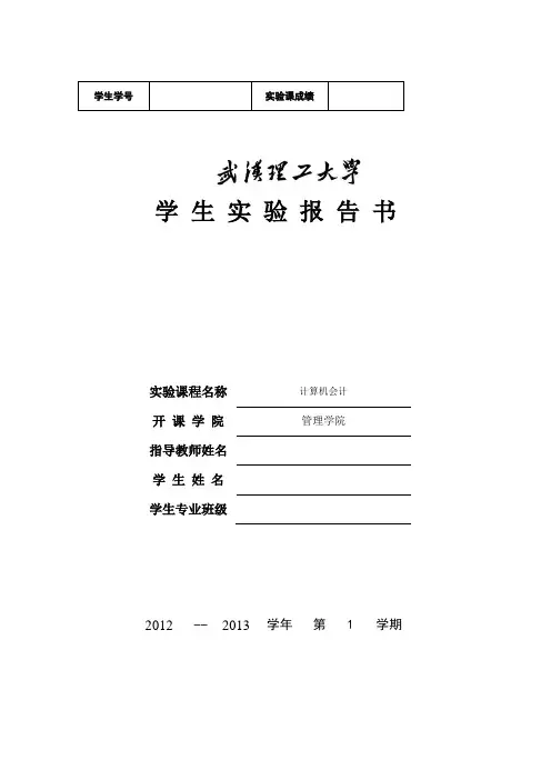 计算机会计课程设计报告