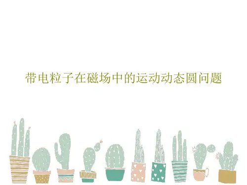 带电粒子在磁场中的运动动态圆问题PPT共36页