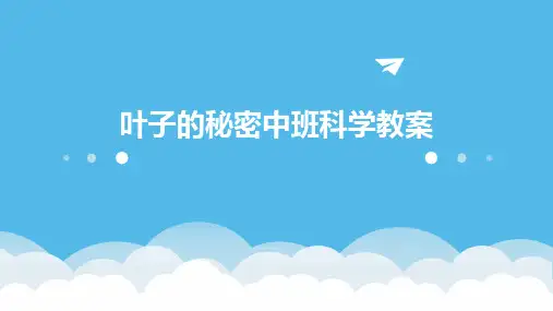 2024叶子的秘密中班科学教案