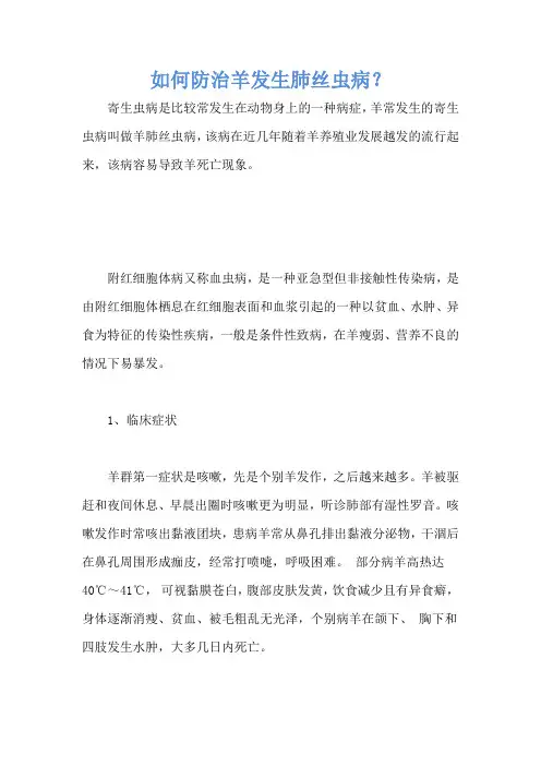 如何防治羊发生肺丝虫病？