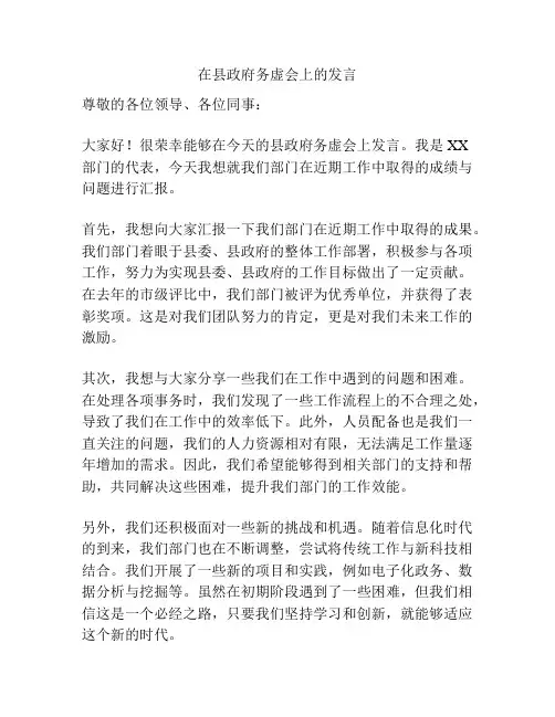在县政府务虚会上的发言