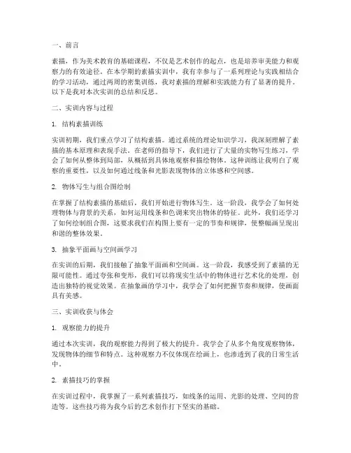 大学美术素描实训总结报告