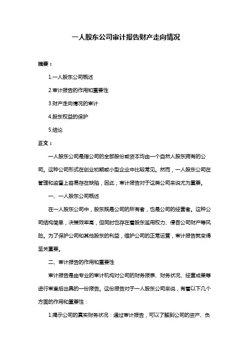 一人股东公司审计报告财产走向情况