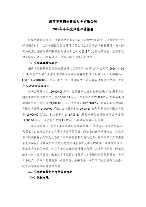 湖南华菱钢铁集团财务有限公司2018年半年度风险评估报告