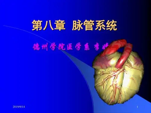 13第八章脉管系统心